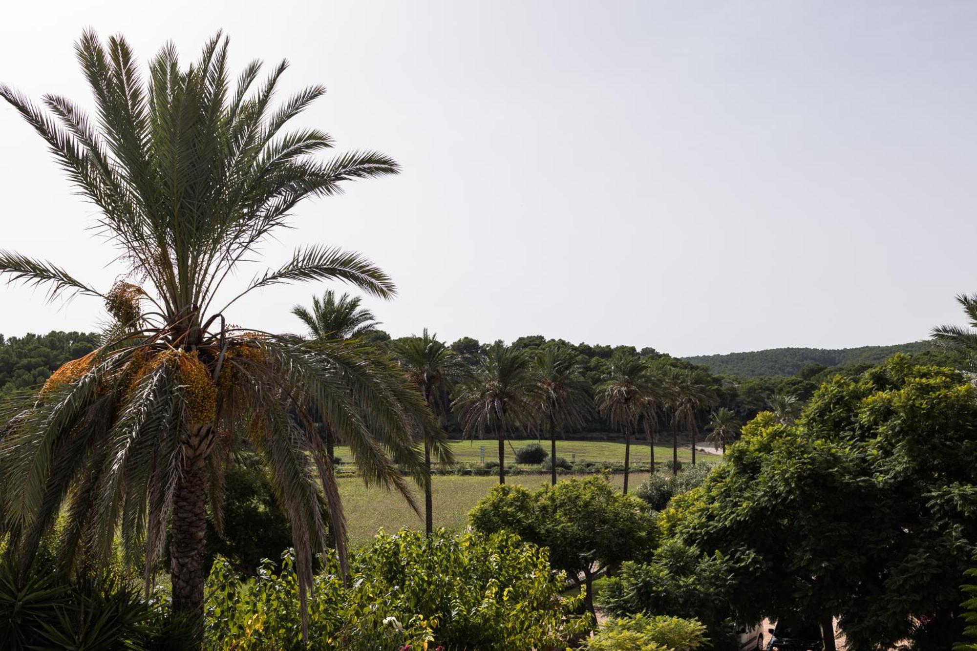 Llucatx Menorca Ξενοδοχείο Son Parc Δωμάτιο φωτογραφία